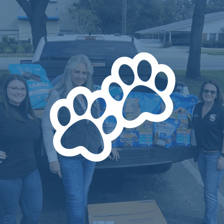 Action Team with Dog/Cat food